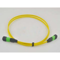 MPO-MPO Singlemode 12 Fibras MTP Fibra Óptica Patch Cord